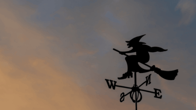 La caza de brujas es un fenómeno histórico que trascendió continentes, causando la tortura y ejecución de miles de personas bajo acusaciones infundadas.