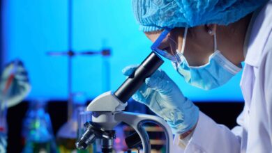 La Organización Mundial de la Salud (OMS) confirmó un brote de la enfermedad por virus de Marburgo en el sur de Etiopía y movilizó asistencia técnica.