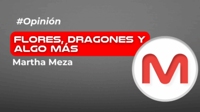 Eres como una mariposa: ¡¡Cambias, evolucionas y te transformas cada día!!