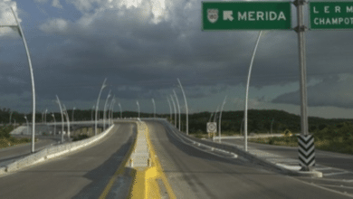 Las autoridades analizan contratar un financiamiento para rehabilitar carreteras estratégicas que conectan zonas productivas en Campeche. | Foto: Gob MX