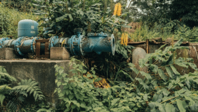 Campeche moderniza su red hídrica con nueva línea maestra en la avenida López Portillo