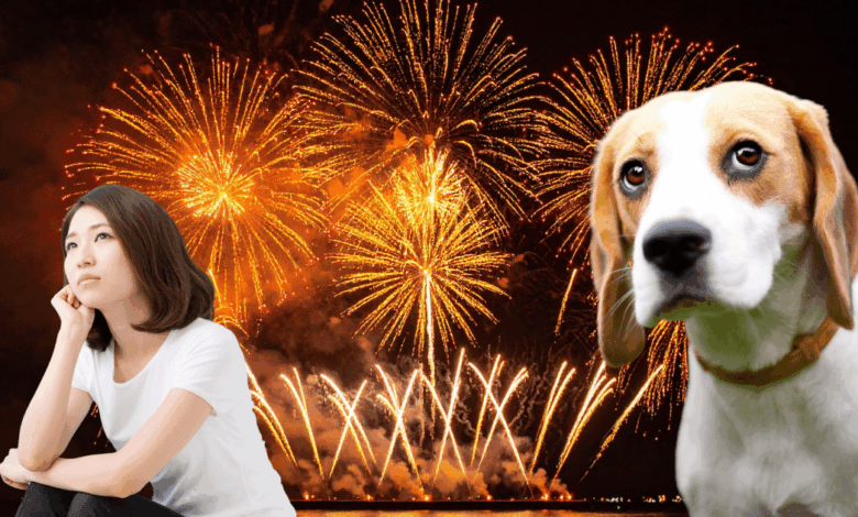 Cena en paz Guía de emergencia para proteger a tus mascotas de la pirotecnia y el estrés (Fotos Canva)