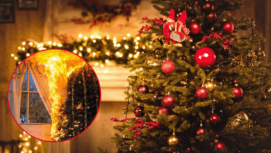Navidad 2025: ¿Cómo evitar incendios en estas fiestas decembrinas?