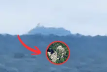 Desde Calakmul captan la pirámide La Danta un fenómeno único en la frontera mayaLa pirámide La Danta, captada desde Calakmul bajo condiciones climáticas ideales, emerge como un recordatorio de la grandeza del mundo maya en plena selva compartida entre México y Guatemala.