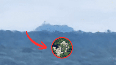 Desde Calakmul captan la pirámide La Danta un fenómeno único en la frontera mayaLa pirámide La Danta, captada desde Calakmul bajo condiciones climáticas ideales, emerge como un recordatorio de la grandeza del mundo maya en plena selva compartida entre México y Guatemala.