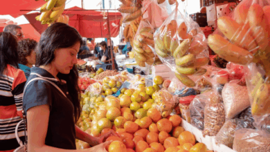 Economía informal en México crece 1.9% en el segundo trimestre de 2025 Inegi