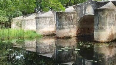 El Puente de la Emperatriz Carlota legado histórico de Campeche
