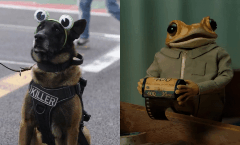 Perrito policía disfrazado de “Concho” se roba el show en concierto de Bad Bunny en CDMX