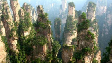 Ubicadas en la provincia de Hunan, las Montañas de Zhangjiajie destacan por sus imponentes formaciones rocosas que se elevan de manera casi vertical entre bosques y neblina.