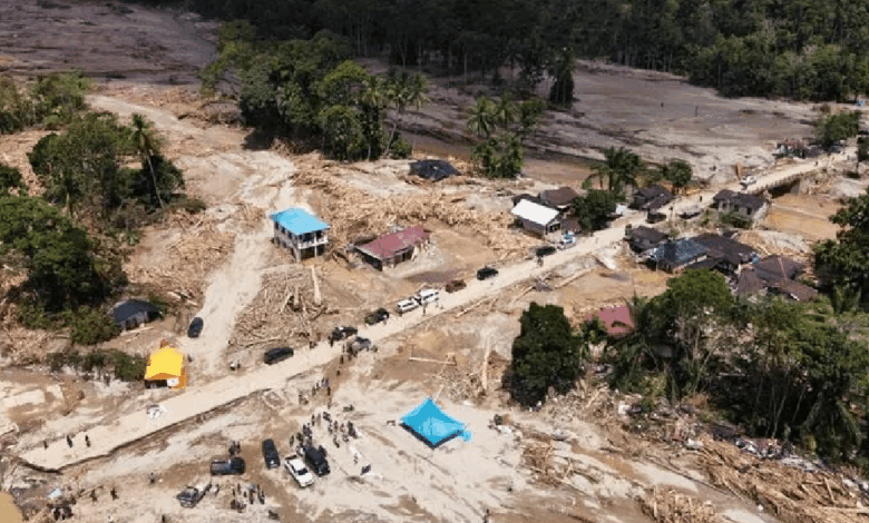 Las inundaciones y aludes causados por lluvias torrenciales y una tormenta tropical —inusual en la región— han dejado más de 1 100 muertos, cientos de desaparecidos y millones de personas afectadas en el sudeste asiático y el sur de Asia.