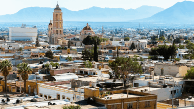 Torreón es una ciudad que sorprende por su mezcla de desierto y vida urbana, tradición industrial y renovación cultural.