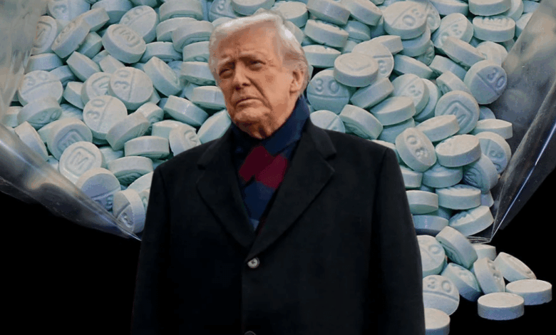 Trump declara al fentanilo como “arma de destrucción masiva” mediante orden ejecutiva (Fotos por Senado de Colombia e Internet)