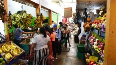 Vecinos de Campeche exigen mayor vigilancia en mercado principal