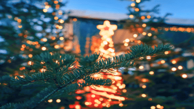 ¿Cuánto cuesta un árbol de Navidad en Campeche 2025 Precios y puntos de venta