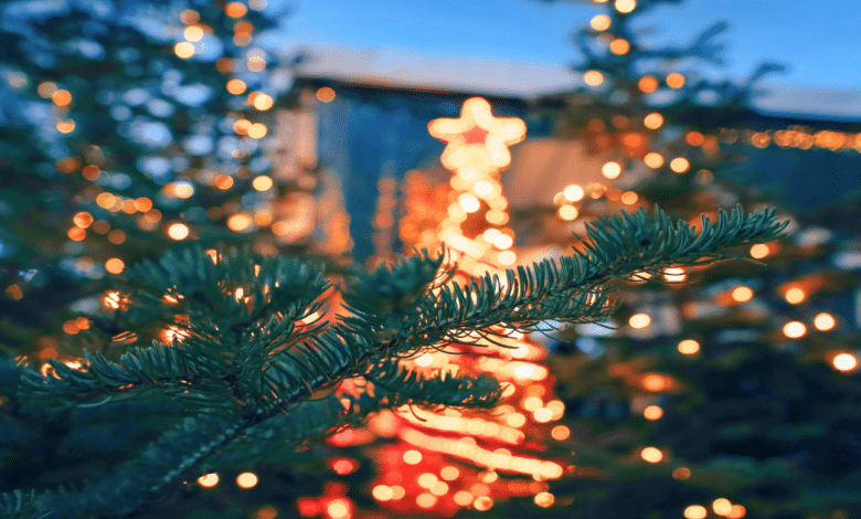 ¿Cuánto cuesta un árbol de Navidad en Campeche 2025 Precios y puntos de venta