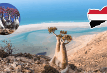 ¿Estás en la Tierra o en Marte Descubre Socotra, la isla alienígena que desafía a la biología (Foto por Tripadvisor y Against the Compass)
