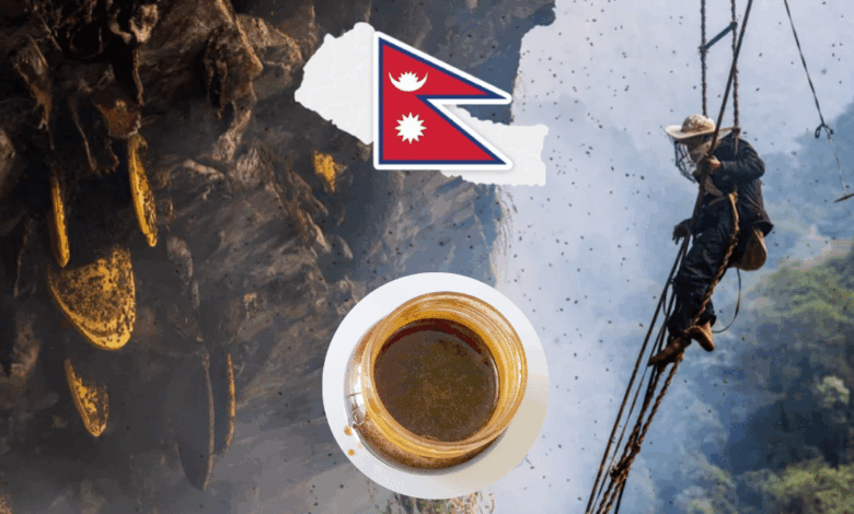 ¿Te atreverías a probarla Mad Honey, la miel alucinógena por la que se juegan la vida en el Himalaya (Foto por TryAladdin y Wikipedia)