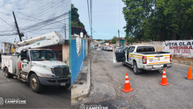 Alcaldía de Campeche colabora con la CFE en el mantenimiento de postes eléctricos