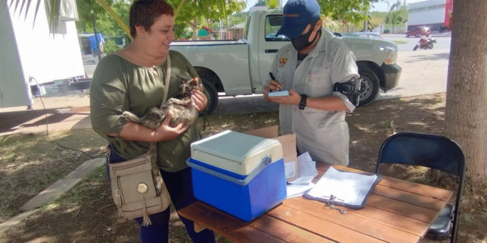 Campeche protege a sus mascotas y mantiene a todos libres de rabia