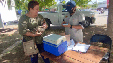 Campeche protege a sus mascotas y mantiene a todos libres de rabia