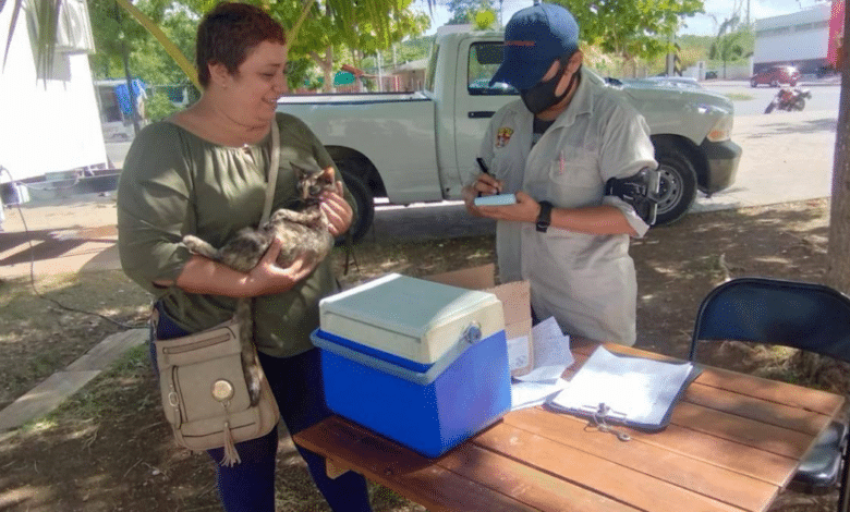 Campeche protege a sus mascotas y mantiene a todos libres de rabia