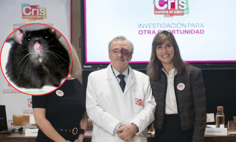 Científicos españoles logran eliminar el cáncer de páncreas en ratones por primera vez