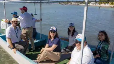 De la pesca al turismo sustentable la transición energética en Isla Aguada