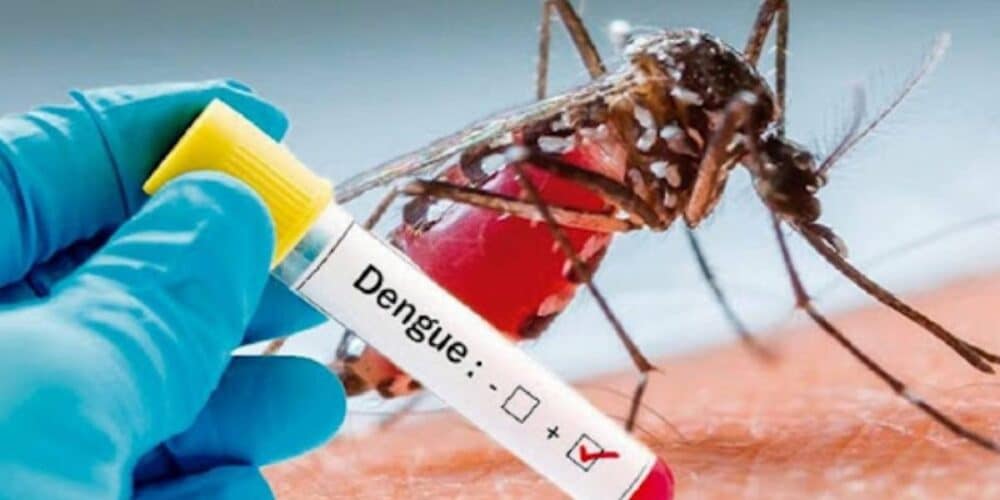 Dengue en Campeche más de la mitad de los casos registrados son graves