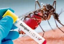 Dengue en Campeche más de la mitad de los casos registrados son graves