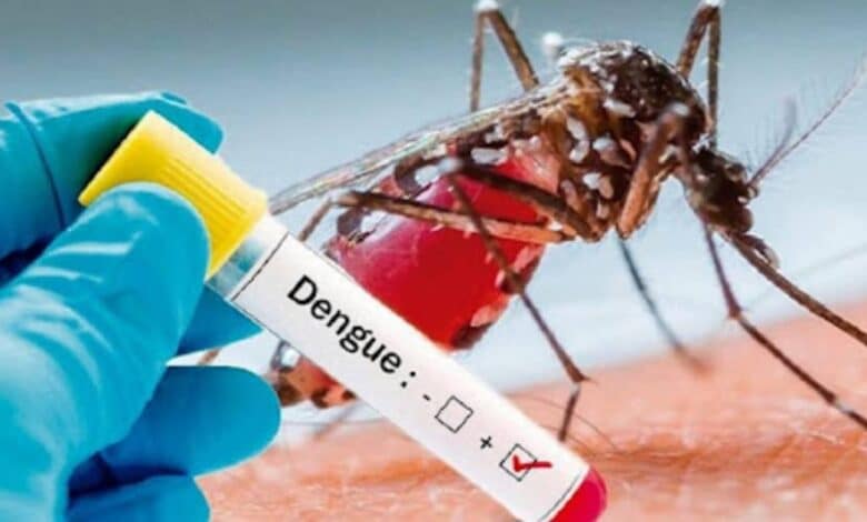 Dengue en Campeche más de la mitad de los casos registrados son graves