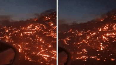 Un incendio de gran magnitud permanece activo a lo largo de la Carretera Federal 200, afectando varios puntos del Istmo de Tehuantepec. Las llamas, avivadas por vientos fuertes y vegetación seca, han reducido la visibilidad y encendido alertas por el riesgo de accidentes y posibles afectaciones a poblaciones cercanas.