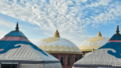 Viajar a Mongolia es adentrarse en uno de los países menos poblados y más auténticos del mundo. Desde el desierto del Gobi hasta las montañas del Altái, el país ofrece actividades para aventureros, sitios históricos imperdibles y experiencias cotidianas que revelan la esencia de su cultura nómada.