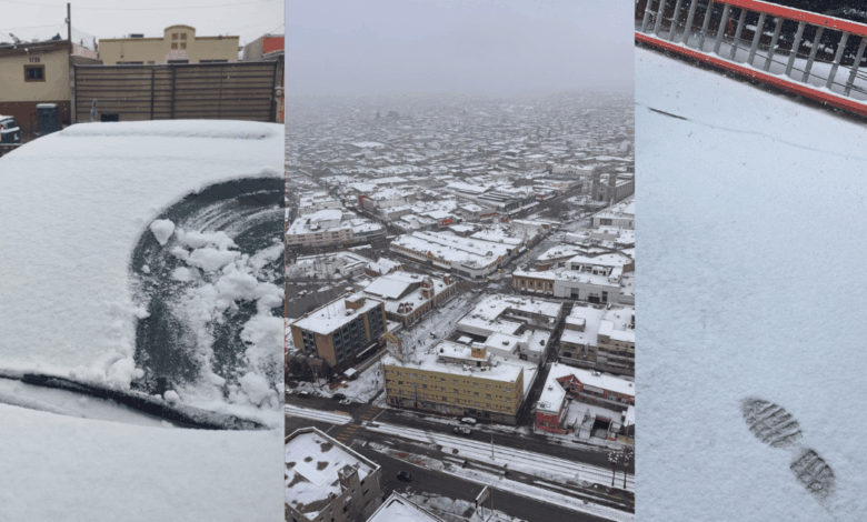 Heladas y cierres viales: Lista de estados sin clases este lunes por temperaturas bajo cero