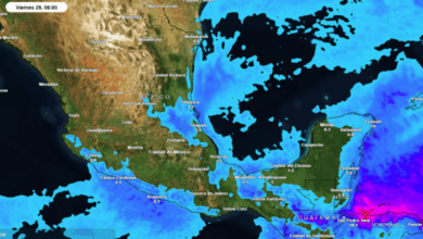 ¿Qué es la masa de aire ártico? El fenómeno que ha provocado frío en México