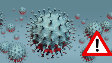 Virus Nipah: ¿Qué es, cuáles son los síntomas y dónde hay brotes?