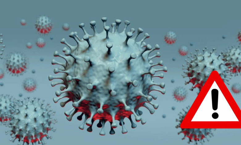 Virus Nipah: ¿Qué es, cuáles son los síntomas y dónde hay brotes?