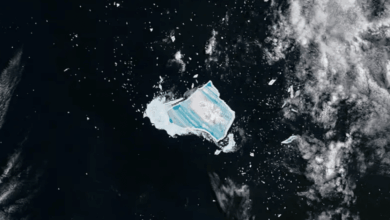 Iceberg A23a entra en fase final de desintegración, alerta China