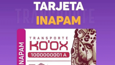 Ko'ox Campeche: Cómo registrarte, obtener tu tarjeta y usar la app de transporte público