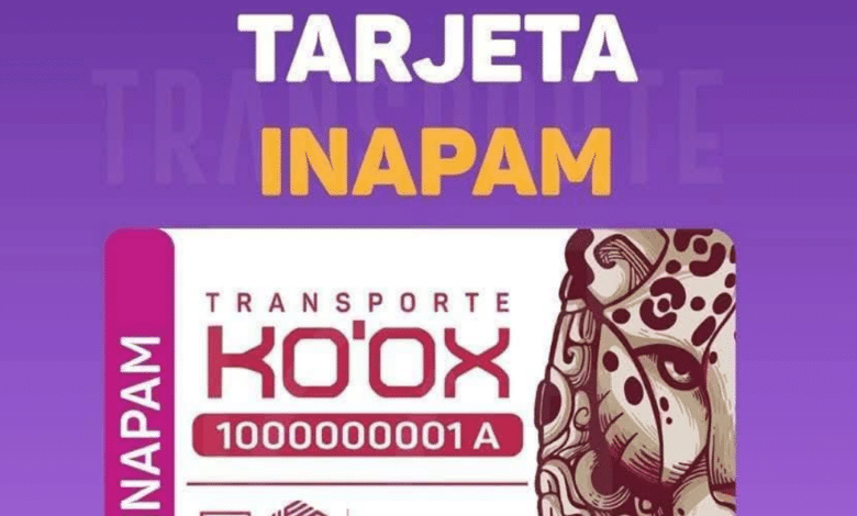Ko'ox Campeche: Cómo registrarte, obtener tu tarjeta y usar la app de transporte público