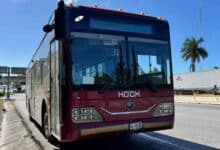 Ko’ox no cobrará pasaje hasta nuevo aviso