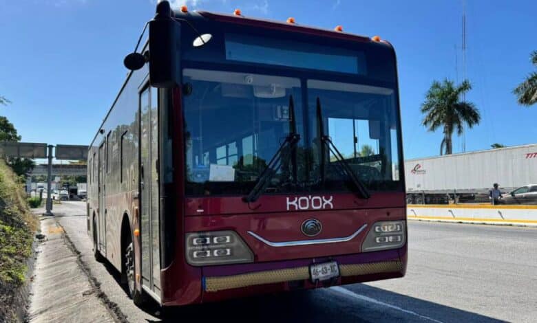 Ko’ox no cobrará pasaje hasta nuevo aviso