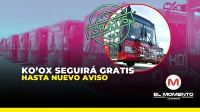 Ko’ox seguirá gratis hasta nuevo aviso