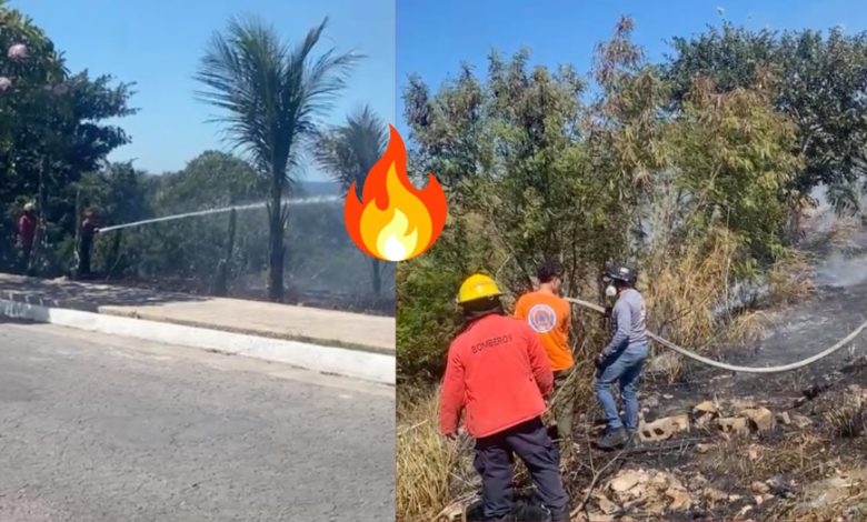 Se incendia maleza en la avenida Francisco Morazán, en Campeche