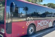 Tarjeta Ko’ox será obligatoria en Campeche a partir del 15 de enero