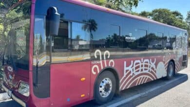 Tarjeta Ko’ox será obligatoria en Campeche a partir del 15 de enero