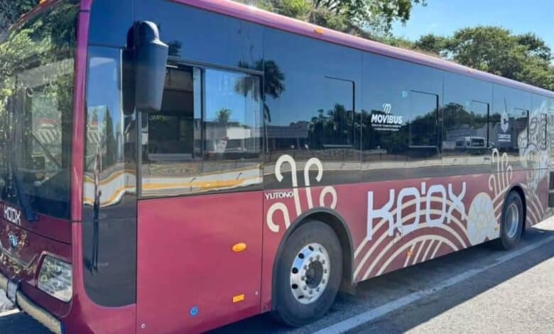 Tarjeta Ko’ox será obligatoria en Campeche a partir del 15 de enero