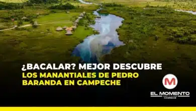 ¿Bacalar? Mejor descubre los Manantiales de Pedro Baranda en Campeche