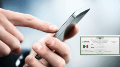 Inicia el registro obligatorio de celulares: Paso a paso para registrar tu línea telefónica con CURP
