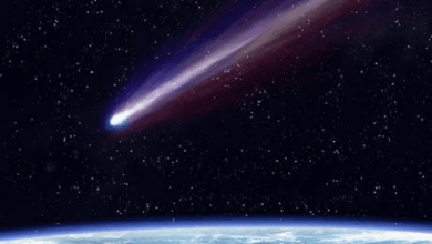 C/2024 E1: ¿cuándo ver el cometa Wierzchos en México?