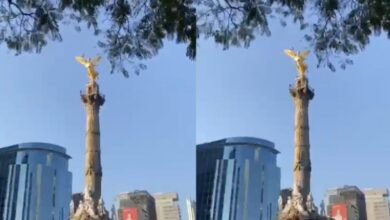 Ángel de la Independencia se balancea durante el sismo en CDMX (Foto de internet)